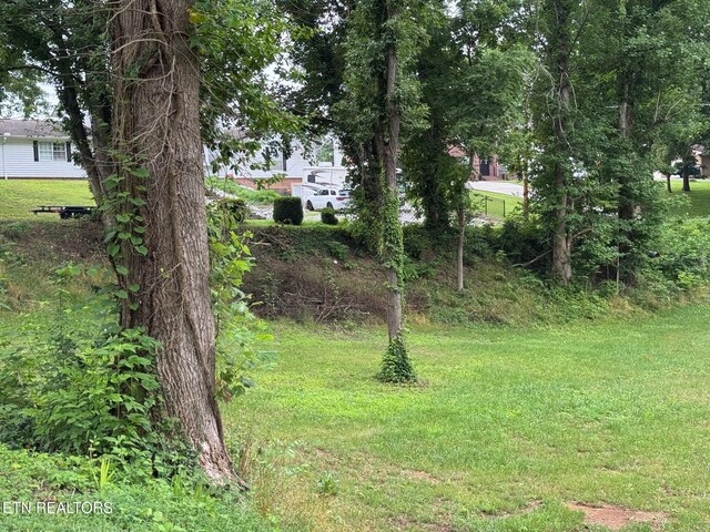 Dogwood Ln, Jacksboro, TN 37757 - photo 7