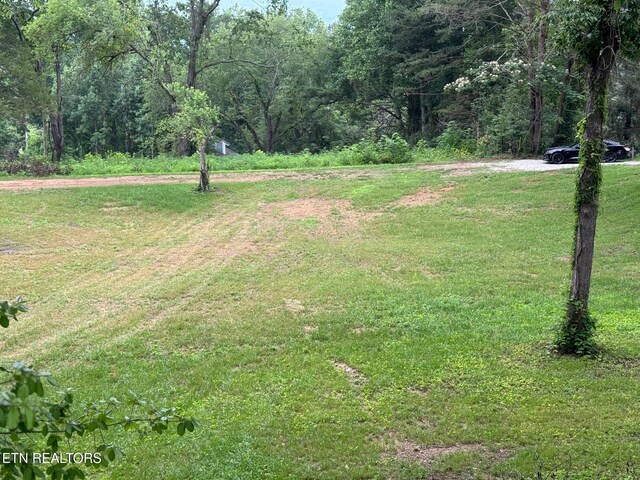 Dogwood Ln, Jacksboro, TN 37757 - photo 10