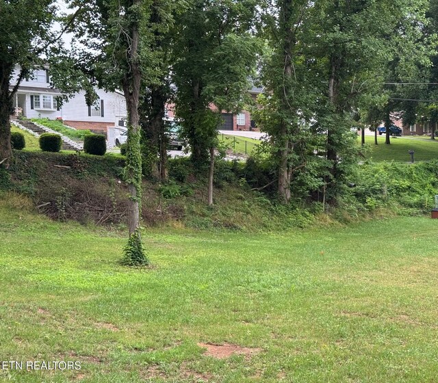 Dogwood Ln, Jacksboro, TN 37757 - photo 12