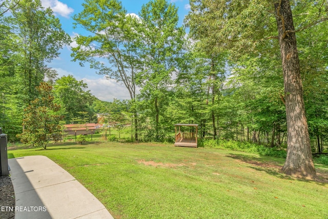 127 Shady Rd, Oliver Springs, TN 37840 - photo 4