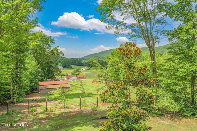 127 Shady Rd, Oliver Springs, TN 37840 - photo 6
