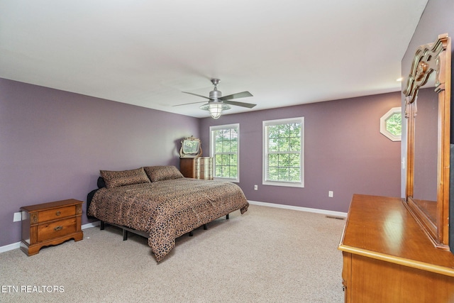 127 Shady Rd, Oliver Springs, TN 37840 - photo 27