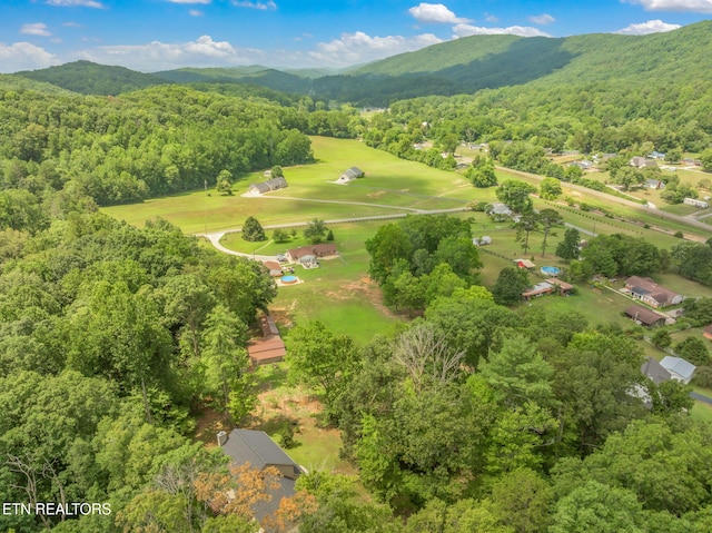 127 Shady Rd, Oliver Springs, TN 37840 - photo 55