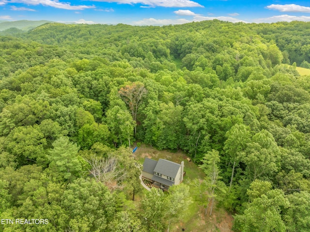 127 Shady Rd, Oliver Springs, TN 37840 - photo 54
