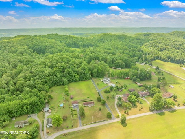 127 Shady Rd, Oliver Springs, TN 37840 - photo 56