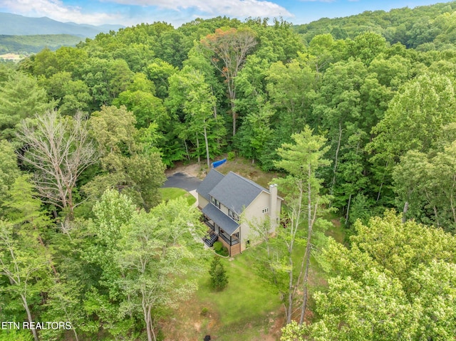 127 Shady Rd, Oliver Springs, TN 37840 - photo 53