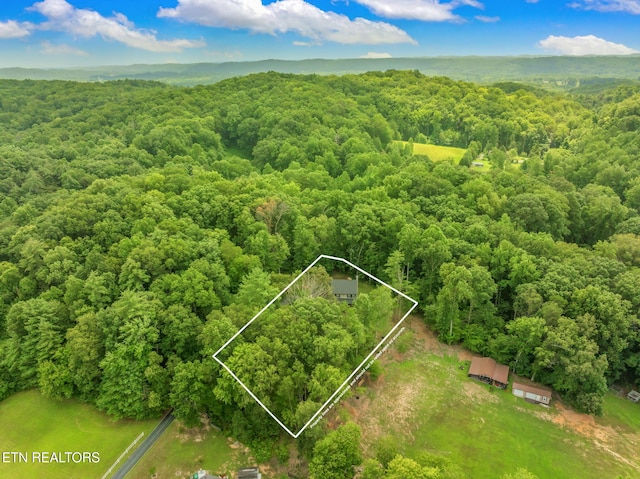 127 Shady Rd, Oliver Springs, TN 37840 - photo 57