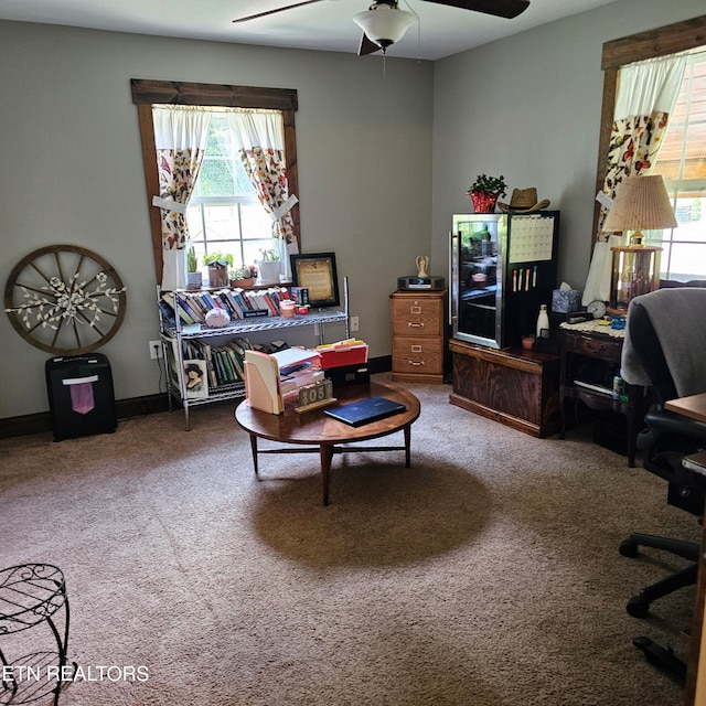 1100 Mill Branch Rd, Huntsville, TN 37756 - office space with ceiling fan and carpet flooring