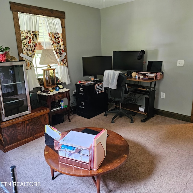 1100 Mill Branch Rd, Huntsville, TN 37756 - office area with carpet floors