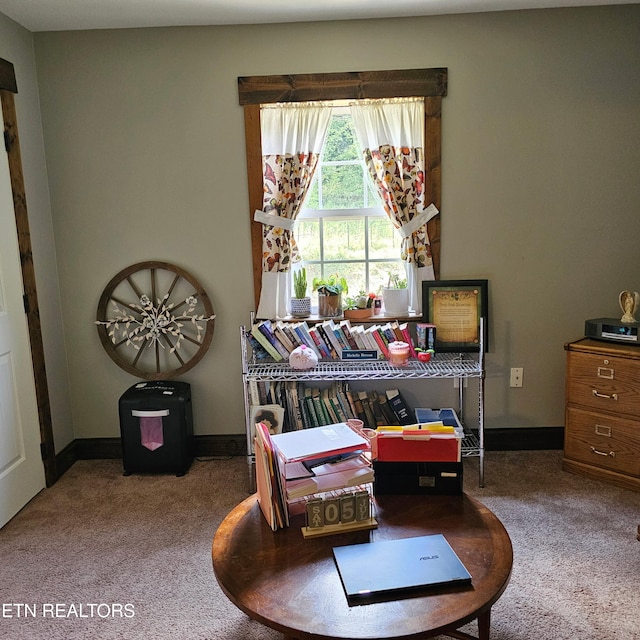1100 Mill Branch Rd, Huntsville, TN 37756 - sitting room featuring carpet and baseboards