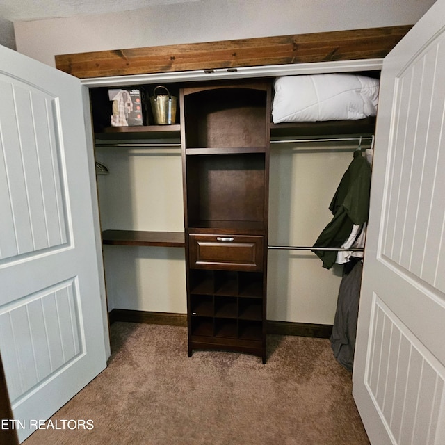 1100 Mill Branch Rd, Huntsville, TN 37756 - view of closet