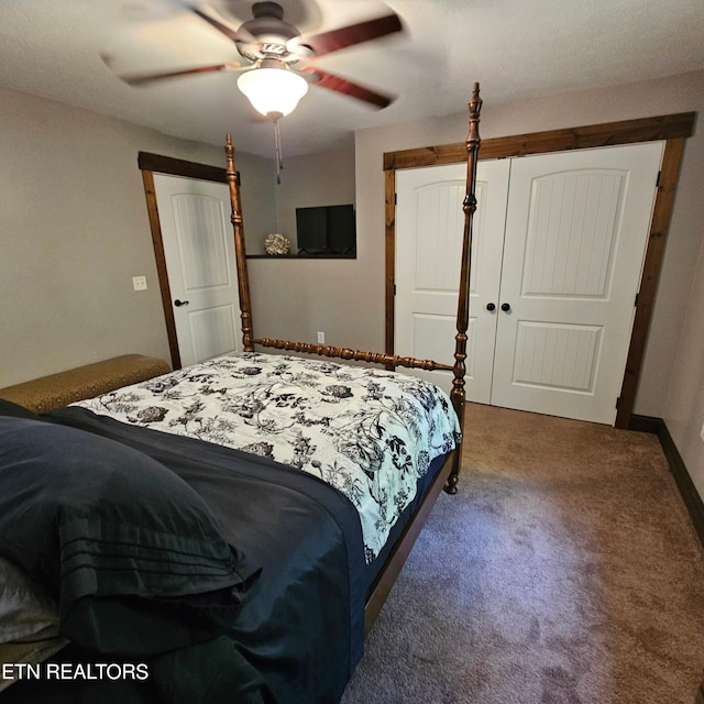 1100 Mill Branch Rd, Huntsville, TN 37756 - bedroom with carpet flooring, a closet, and ceiling fan