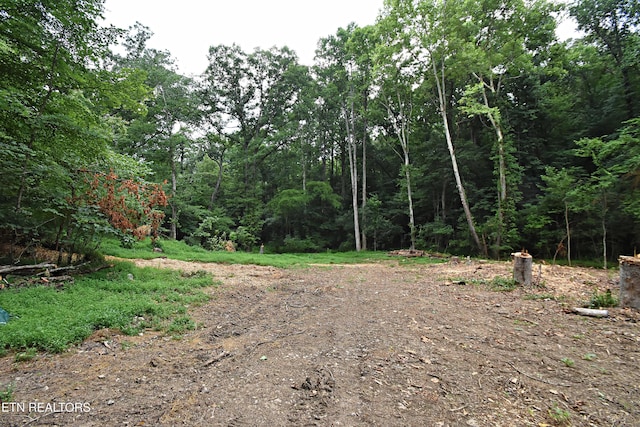0 Early Rd Unit 4, Knoxville, TN 37922 - photo 2