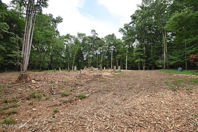 0 Early Rd Unit 4, Knoxville, TN 37922 - photo 3