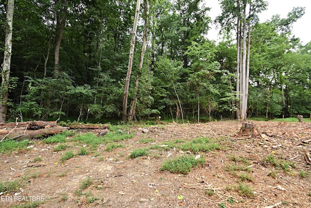 0 Early Rd Unit 4, Knoxville, TN 37922 - photo 10