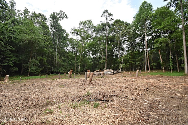 0 Early Rd Unit 4, Knoxville, TN 37922 - photo 4