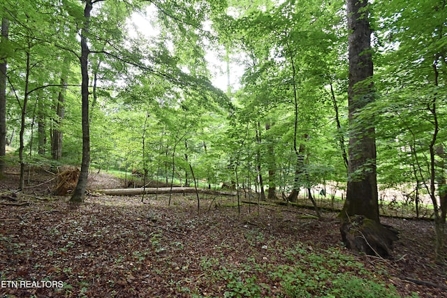 0 Early Rd Unit 4, Knoxville, TN 37922 - photo 6