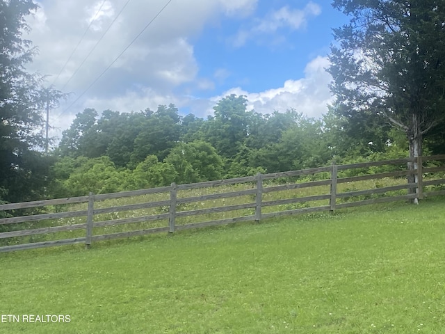 Walkers Church Rd, Bulls Gap, TN 37711 - photo 3