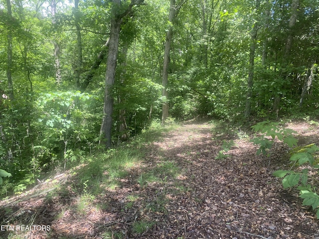 Walkers Church Rd, Bulls Gap, TN 37711 - photo 6