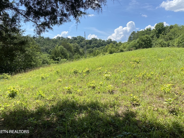 Walkers Church Rd, Bulls Gap, TN 37711 - photo 1