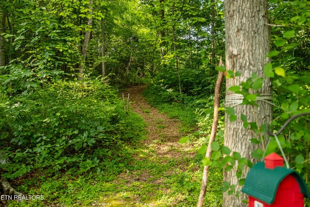 816 Thorn Grove Pike, Strawberry Plains, TN 37871 - view of wooded area