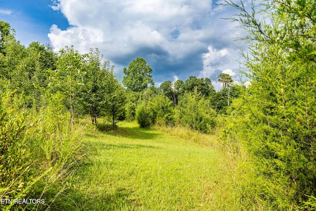 816 Thorn Grove Pike, Strawberry Plains, TN 37871 - view of nature
