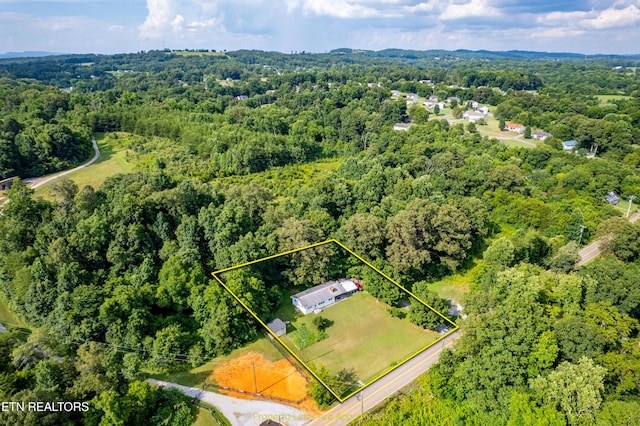 816 Thorn Grove Pike, Strawberry Plains, TN 37871 - aerial view of property and surrounding area with a heavily wooded area and property parcel outlined
