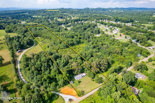 816 Thorn Grove Pike, Strawberry Plains, TN 37871 - view of property location with a forest and property boundaries highlighted