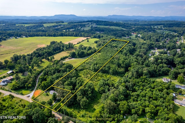 816 Thorn Grove Pike, Strawberry Plains, TN 37871 - view of property location with property boundaries highlighted and mountains