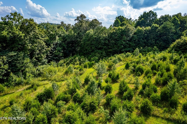 816 Thorn Grove Pike, Strawberry Plains, TN 37871 - view of tree filled area