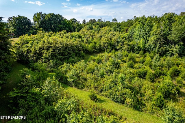 816 Thorn Grove Pike, Strawberry Plains, TN 37871 - view of tree filled area