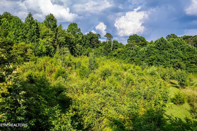 816 Thorn Grove Pike, Strawberry Plains, TN 37871 - view of woods