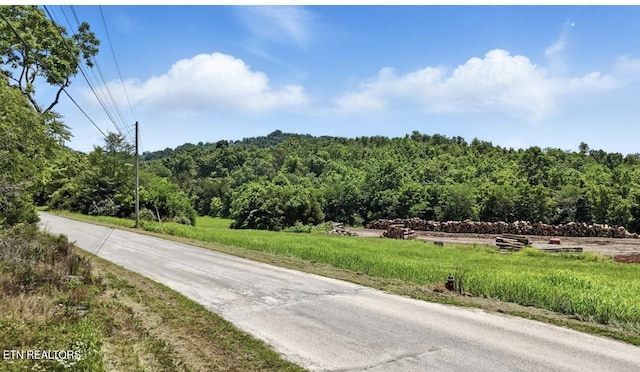 307 Old Kentucky Rd, Tazewell, TN 37879 - photo 10