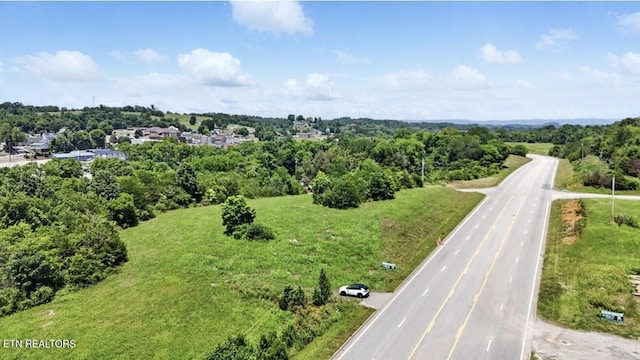 307 Old Kentucky Rd, Tazewell, TN 37879 - photo 12