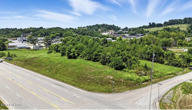 307 Old Kentucky Rd, Tazewell, TN 37879 - photo 13