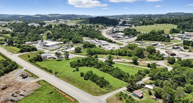 307 Old Kentucky Rd, Tazewell, TN 37879 - photo 16