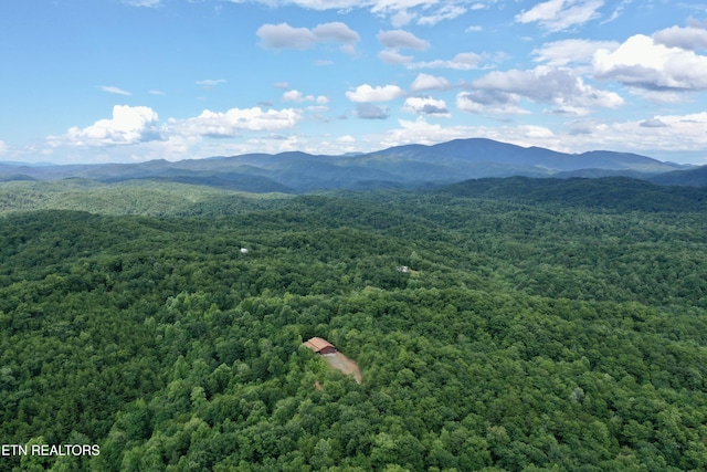 610 Cooper Rd, Vonore, TN 37885 - photo 3