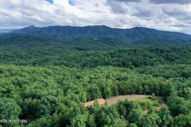 610 Cooper Rd, Vonore, TN 37885 - photo 4