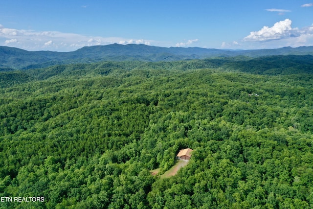 610 Cooper Rd, Vonore, TN 37885 - photo 5