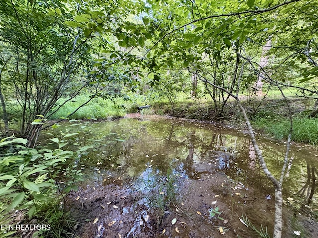610 Cooper Rd, Vonore, TN 37885 - photo 22