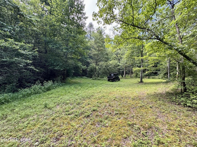 610 Cooper Rd, Vonore, TN 37885 - photo 23