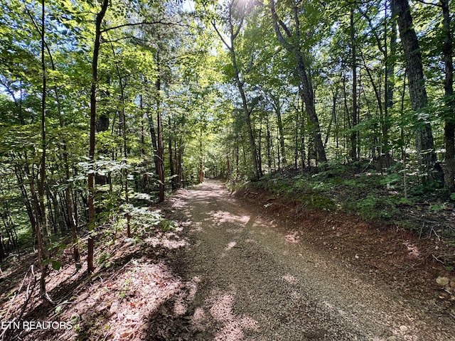 610 Cooper Rd, Vonore, TN 37885 - photo 26