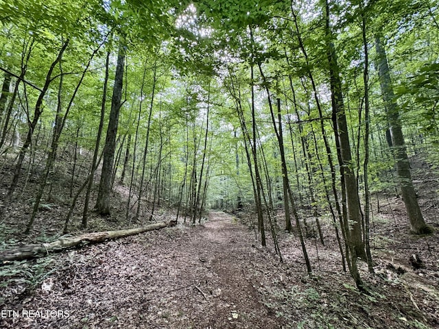 610 Cooper Rd, Vonore, TN 37885 - photo 27