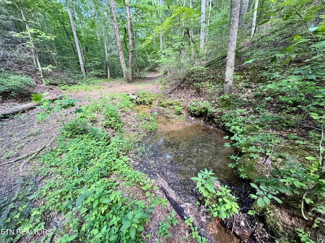 610 Cooper Rd, Vonore, TN 37885 - photo 28