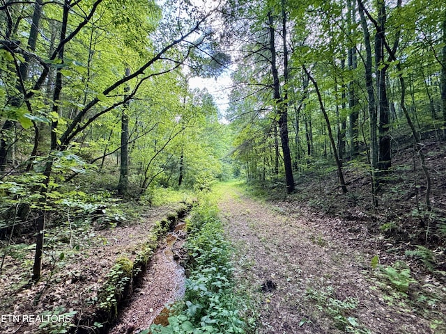 610 Cooper Rd, Vonore, TN 37885 - photo 29