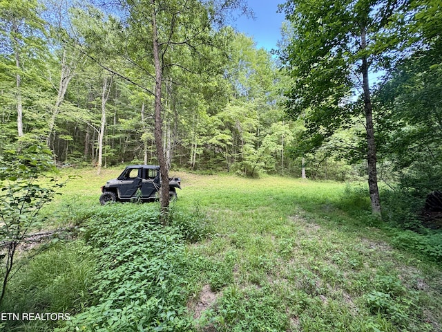 610 Cooper Rd, Vonore, TN 37885 - photo 31