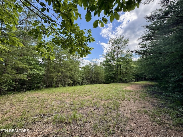 610 Cooper Rd, Vonore, TN 37885 - photo 32