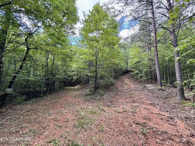 610 Cooper Rd, Vonore, TN 37885 - photo 34