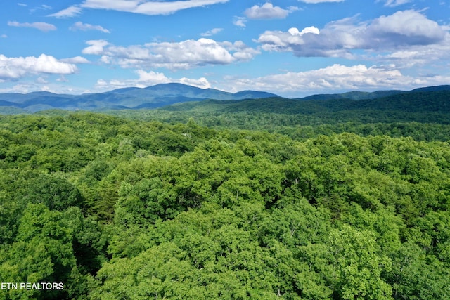 610 Cooper Rd, Vonore, TN 37885 - photo 39