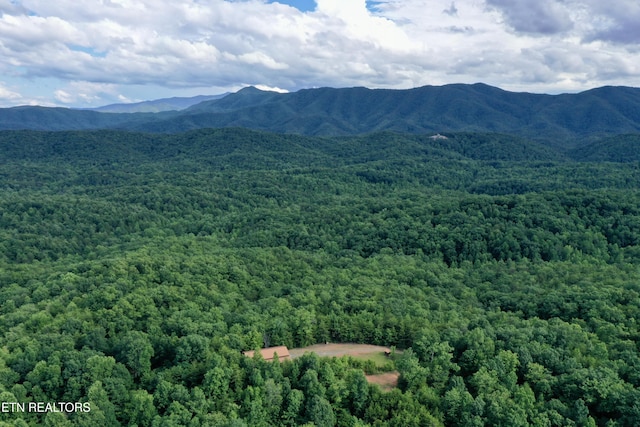 610 Cooper Rd, Vonore, TN 37885 - photo 42